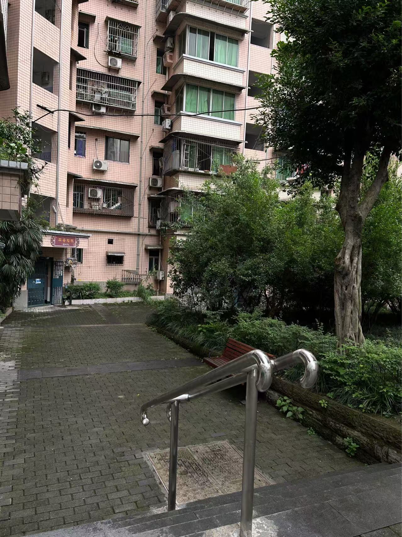 重庆市巴南区花溪街道先锋村为方便老人出行而安装的扶手。图/王雪