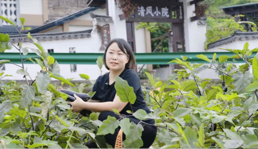 种植大户聂娟在清风小院民宿前的共享田园采摘茄子