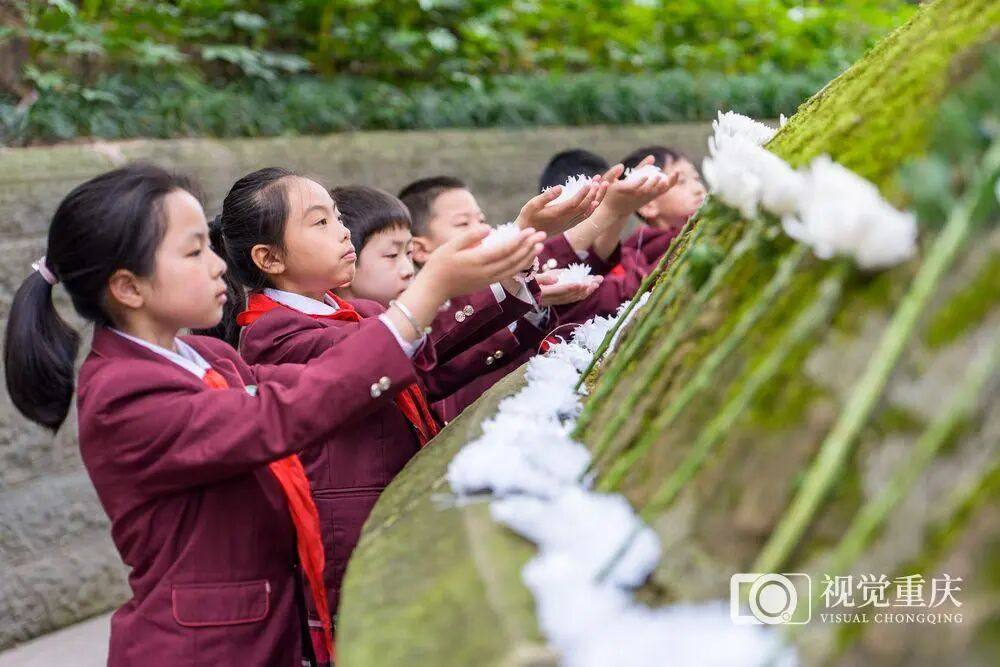 重庆市北碚区张自忠烈士陵园,梅花山小学学生向张自忠烈士陵墓献花。李雨恒 摄 / 视觉重庆