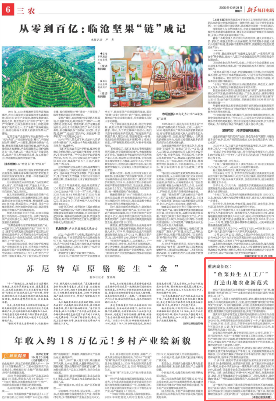 新华每日电讯_高新区