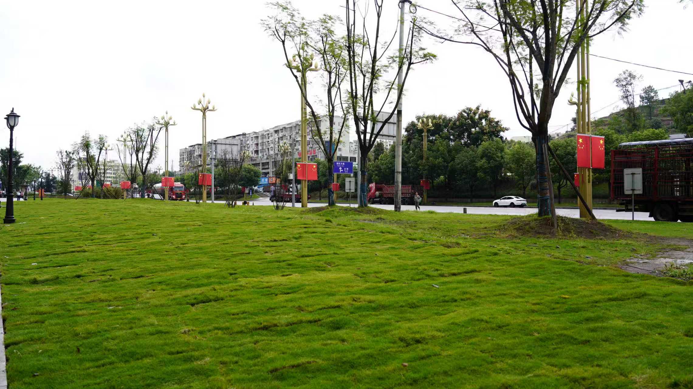 恒大文化城绿化带整改后