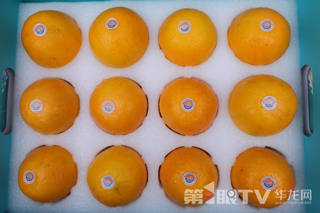 2 新鲜饱满的柑橘。第1眼TV-华龙网 董静 摄