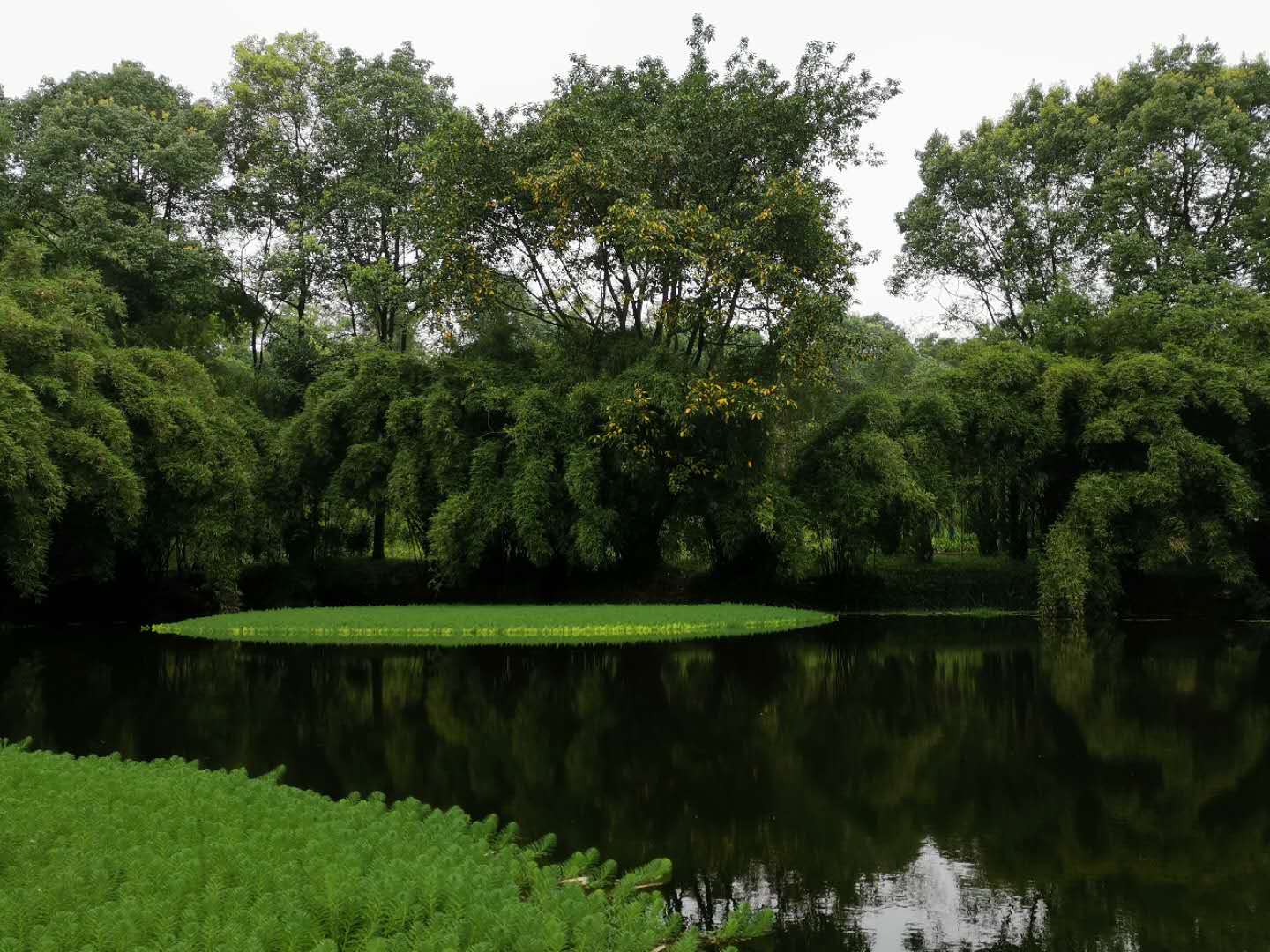 9b6209ba0e415626162648f65479fcd0_.jpg