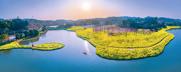 重庆市巴南区二圣镇“云林天乡”农文旅融合示范景区。 (2).jpg