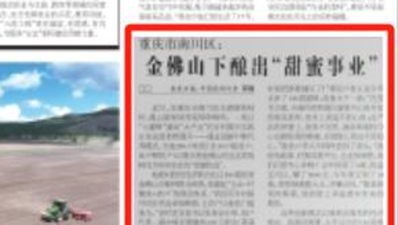 农民日报看重庆｜南川区：金佛山下酿出“甜蜜事业”