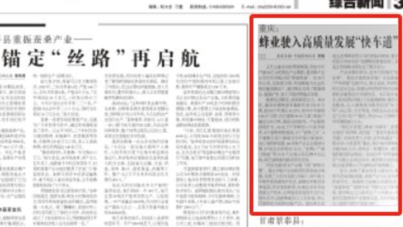 农民日报看重庆｜重庆：蜂业驶入高质量发展“快车道”