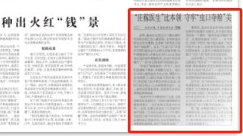 农民日报看重庆｜“庄稼医生”比本领　守牢“虫口夺粮”关