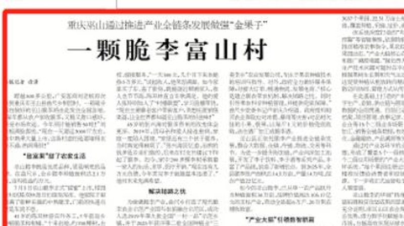 工人日报看重庆｜一颗脆李富山村‌
