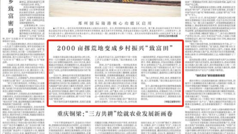 新华每日电讯看重庆｜丰都：2000亩撂荒地变成乡村振兴“致富田”