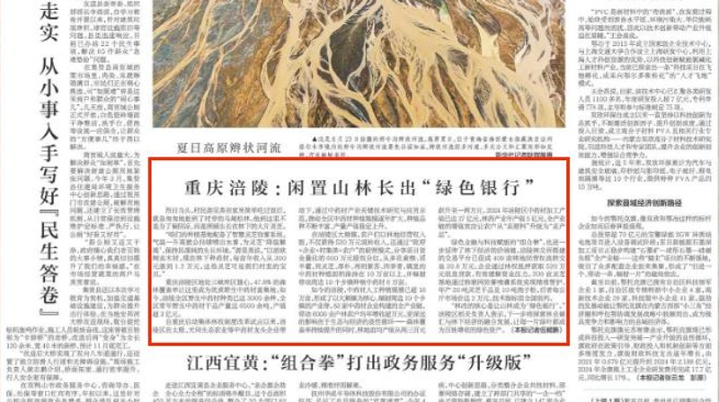 新华每日电讯看重庆｜涪陵：闲置山林长出“绿色银行”