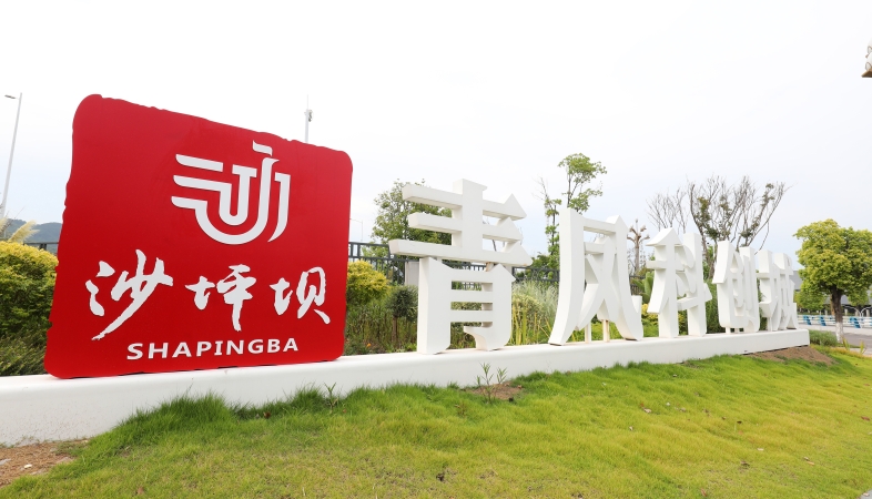 活力中国调研行｜重庆沙坪坝：一辆“绿”车，带动一条“绿”链