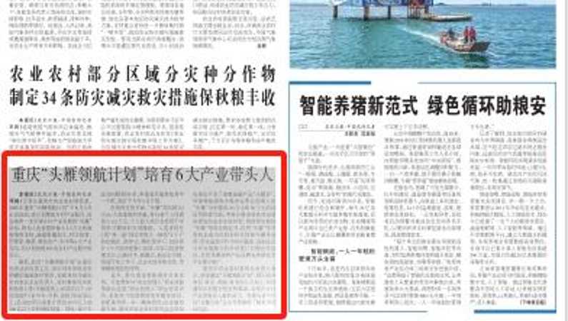 农民日报看重庆｜重庆“头雁领航计划”培育6大产业带头人