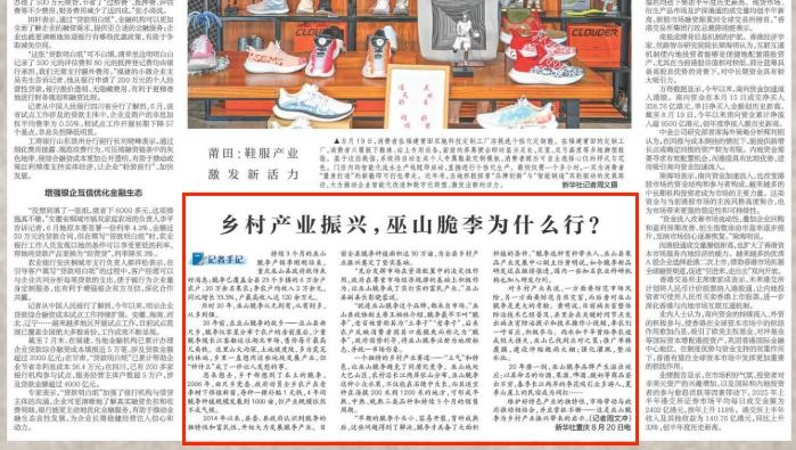 新华每日电讯看重庆｜乡村产业振兴，巫山脆李为什么行？