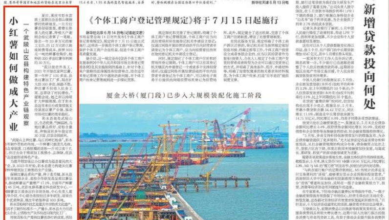 新华每日电讯看重庆｜小红薯如何做成大产业