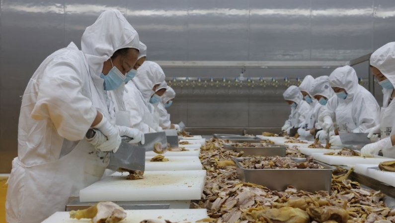 新华社看重庆｜从地方小吃到走上全国餐桌——重庆丰都麻辣鸡的“飘香”密码