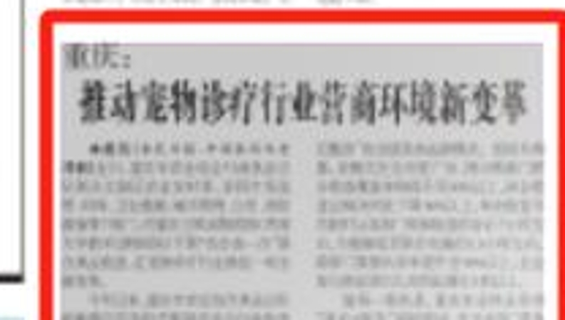 农民日报看重庆｜推动宠物诊疗行业营商环境新变革