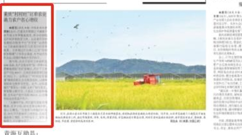 农民日报看重庆｜“村村旺”订单农业助力农户省心增收