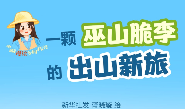 新华社看重庆｜一颗巫山脆李的出山新旅