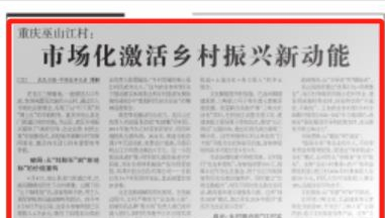 农民日报看重庆｜巫山江村：市场化激活乡村振兴新动能