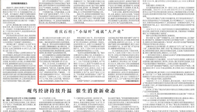 新华每日电讯看重庆｜石柱：“小绿叶”成就“大产业”