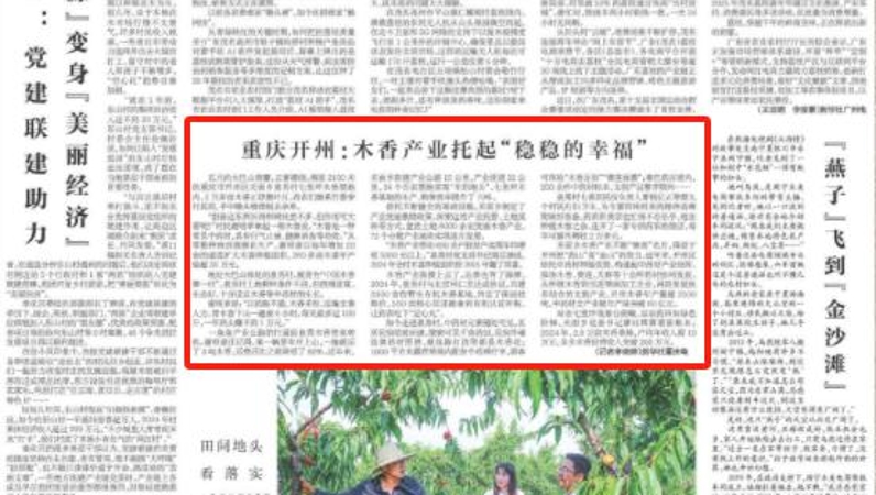 新华每日电讯看重庆｜开州：木香产业托起“稳稳的幸福”