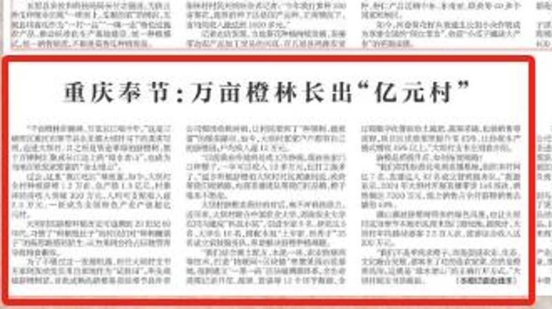 新华每日电讯看重庆｜奉节：万亩橙林长出“亿元村”