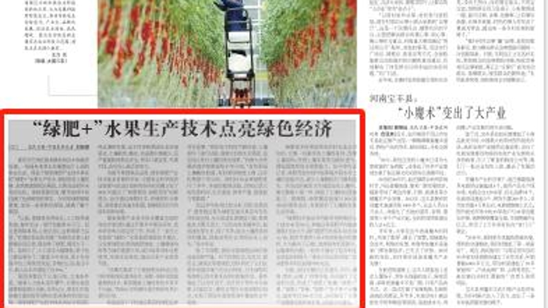 农民日报看重庆｜巴南区：“绿肥+”水果生产技术点亮绿色经济