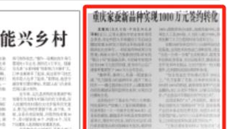 农民日报看重庆｜重庆家蚕新品种实现1000万元签约转化