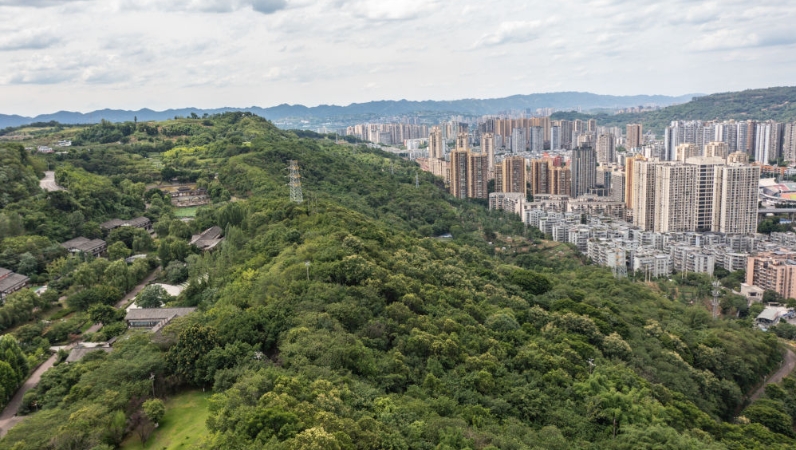 新华社看重庆｜江津：崖壁间“生长”的城市森林