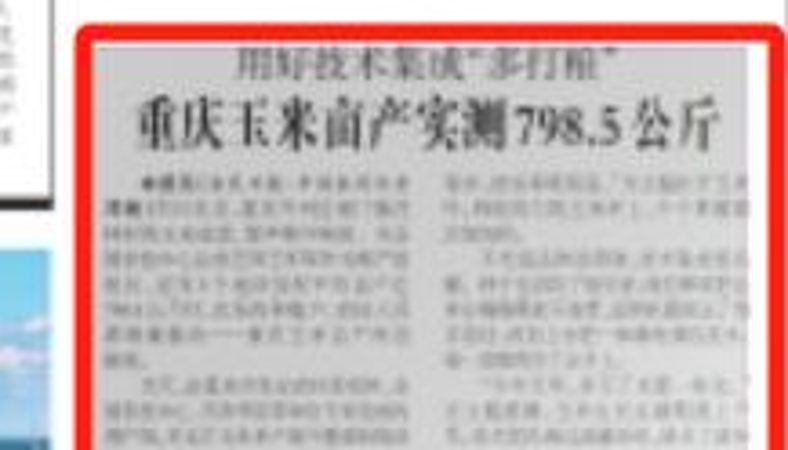 农民日报看重庆｜重庆玉米亩产实测798.5公斤