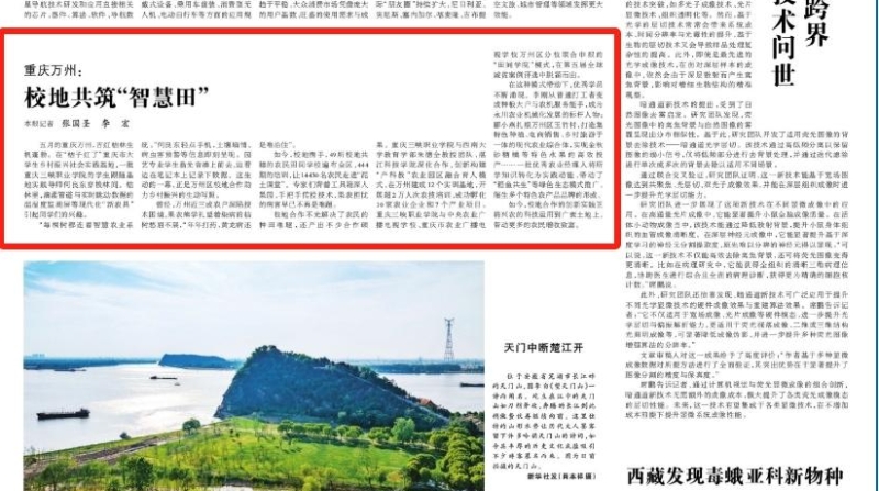 光明日报看重庆｜万州：校地共筑“智慧田”