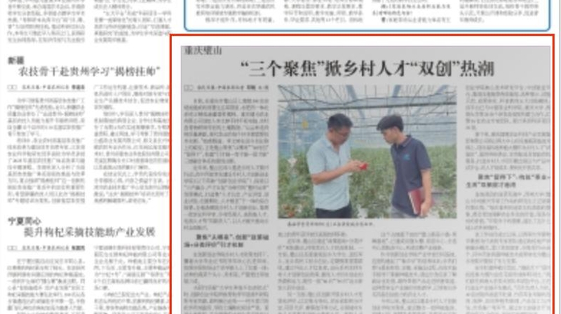 农民日报看重庆｜璧山：“三个聚焦”掀乡村人才“双创”热潮