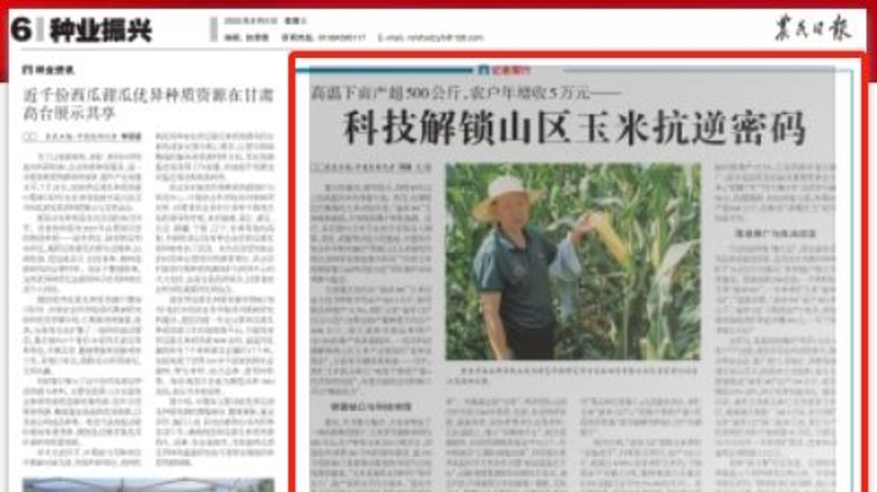 农民日报看重庆｜高温下亩产超500公斤，农户年增收5万元——科技解锁山区玉米抗逆密码