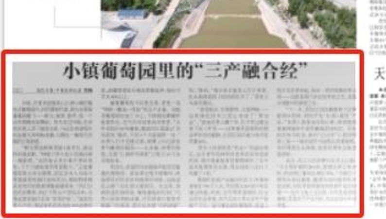 农民日报看重庆｜小镇葡萄园里的“三产融合经”