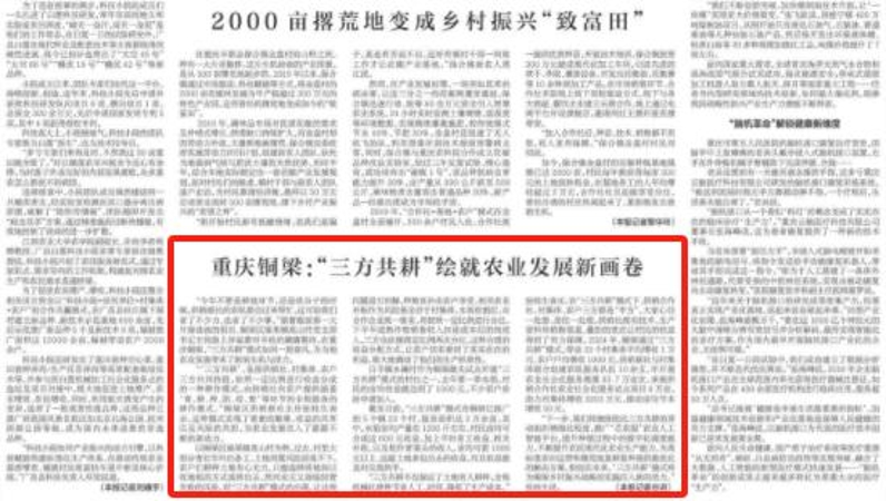 新华每日电讯看重庆｜铜梁：“三方共耕”绘就农业发展新画卷