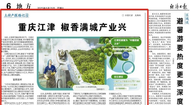 经济日报看重庆｜江津 椒香满城产业兴