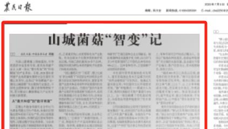 农民日报看重庆｜山城菌菇“智变”记