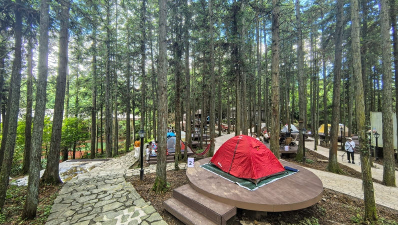 新华社看重庆｜彭水：高铁进苗乡带火“凉经济”