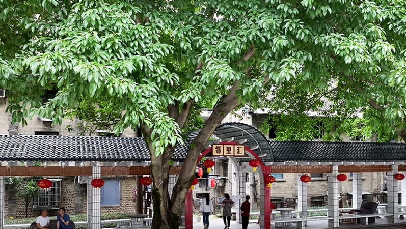 新华网看重庆｜基层自治激活“造血”功能——重庆“老厂家属院”社会化治理观察