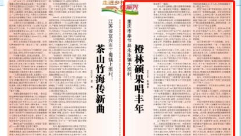 光明日报看重庆｜奉节：橙林硕果唱丰年