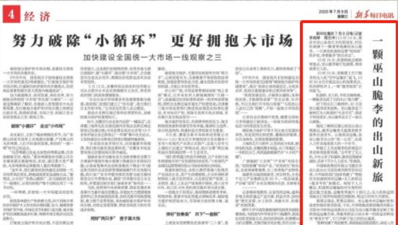 新华每日电讯看重庆｜一颗巫山脆李的出山新旅