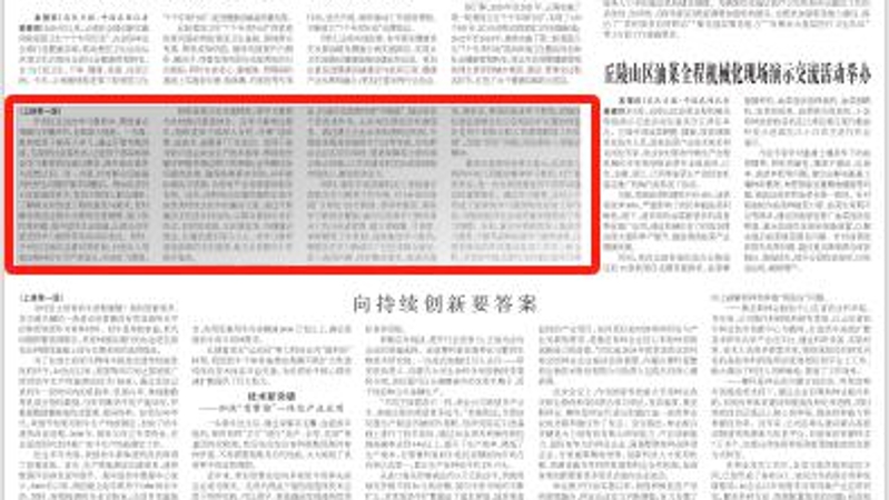 农民日报看重庆｜锤炼严实作风　凝聚发展合力