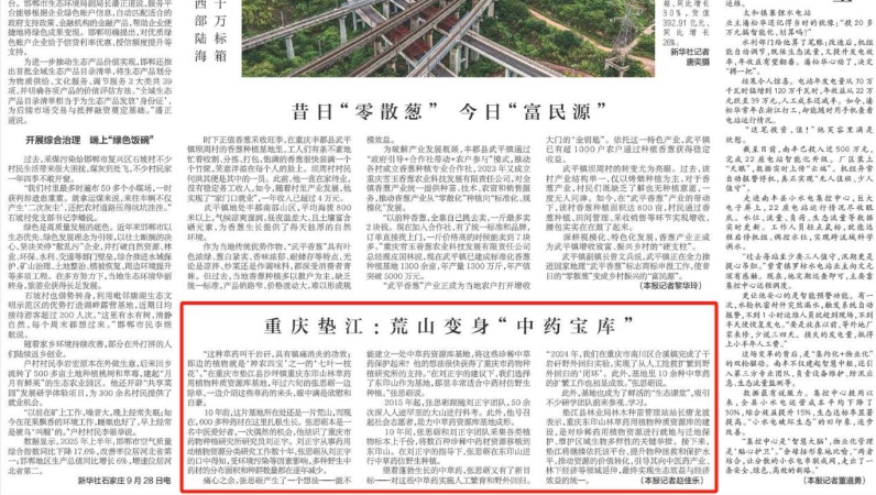 新华每日电讯看重庆｜垫江：荒山变身“中药宝库”