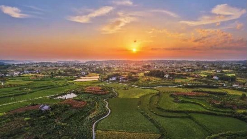 新华社看重庆｜重庆合川：“粮”辰美景入画来