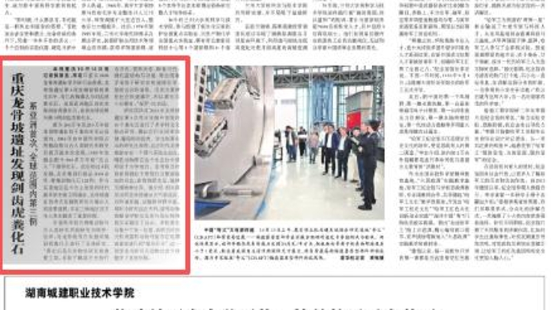 光明日报看重庆｜龙骨坡遗址发现剑齿虎粪化石