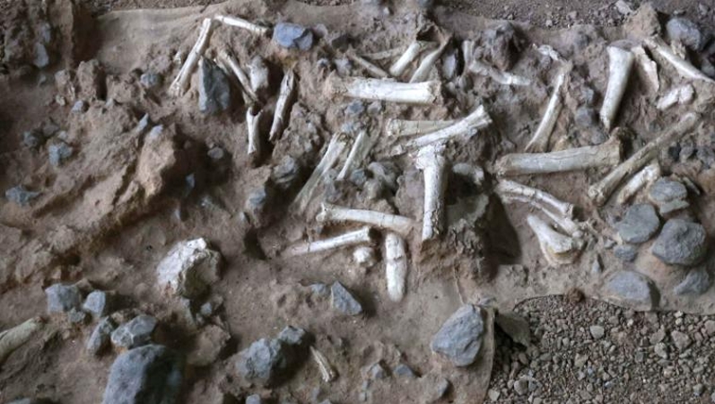 工人日报看重庆｜长江文明的“源代码”正在被破解