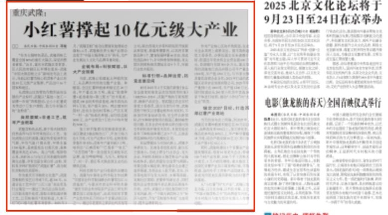 农民日报看重庆｜武隆：小红薯撑起10亿元级大产业