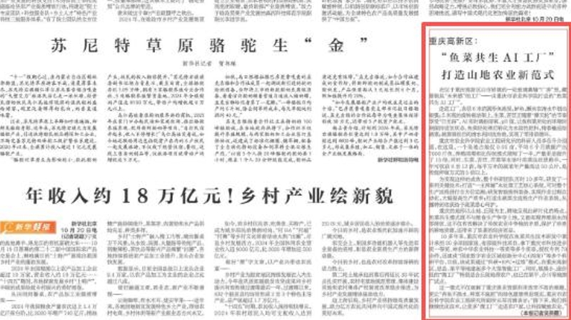新华每日电讯看重庆｜高新区：“鱼菜共生AI工厂”打造山地农业新范式