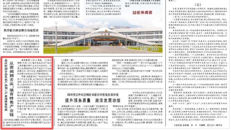 人民日报看重庆｜从田间到舌尖，培育特色产业链