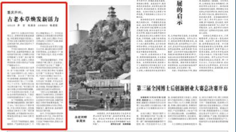 光明日报看重庆｜开州：古老本草焕发新活力